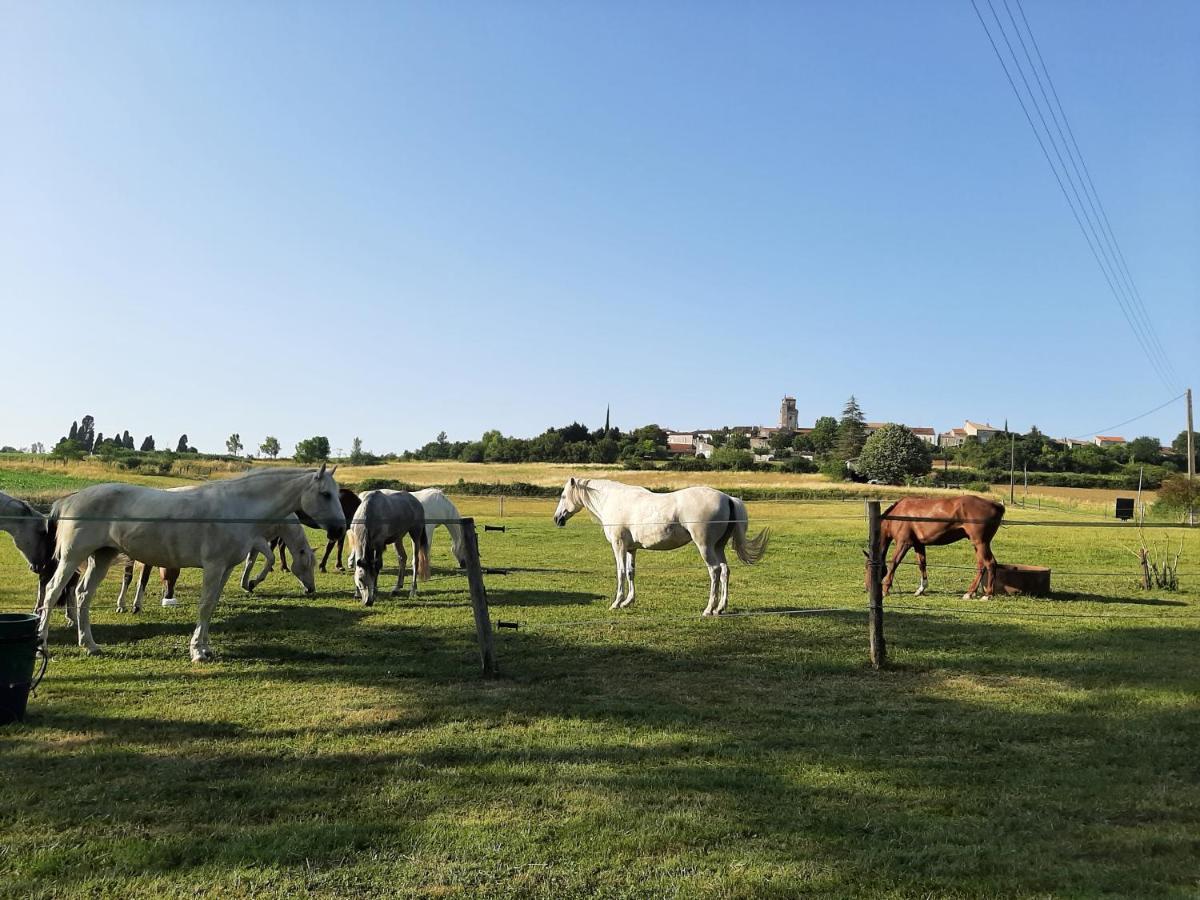 Domaine Laloubin Villa Montagnac-sur-Auvignon Eksteriør bilde